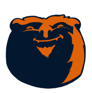 Chicago Bears Fat Logo DIY iron on transfer (heat transfer)